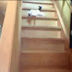 stairs GIF