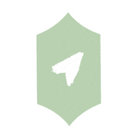 jeroan green aviao adesivo compartilha Sticker