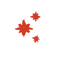 jeroan red star shine spark Sticker