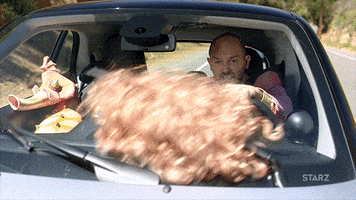 season 2 wtf GIF by Blunt Talk