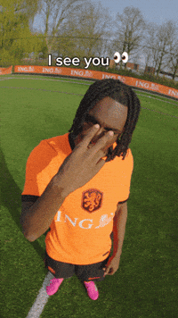 Ing GIF by INGNederland