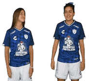 Liga Mx Cf Pachuca Sticker by Club Pachuca Tuzos