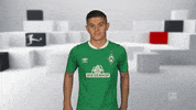 So What Wtf GIF by Bundesliga