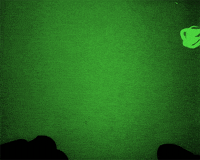 lotte reiniger GIF by Maudit