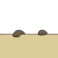 Hide Kittens Sticker by HyperBeard