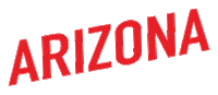 Arizona Sticker by The Agency