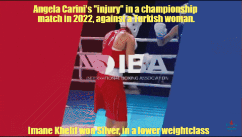 petesauber giphygifmaker boxing carini khelif GIF
