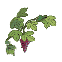 Fresh Sticker by Mouton Cadet