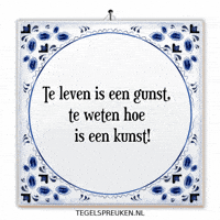 Humor Reflectie GIF by Tegelspreuken.nl