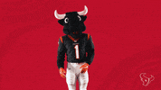 Oh Man Idk GIF by Houston Texans