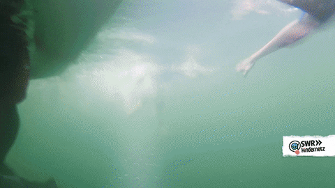 swim dive GIF by SWR Kindernetz