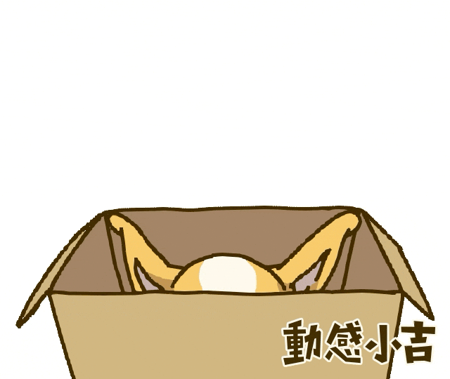 Animation Dog GIF