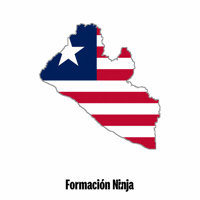 Flag Bandera GIF by Formación Ninja