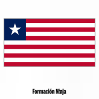Flag Bandera GIF by Formación Ninja