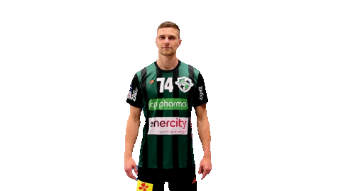 Sport Handball Sticker by DIE RECKEN