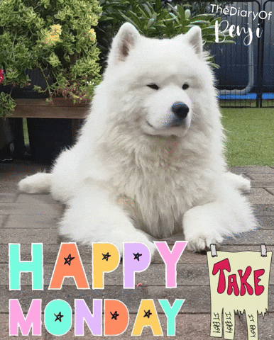 Happy Monday GIF