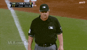 381701 GIF by MLB