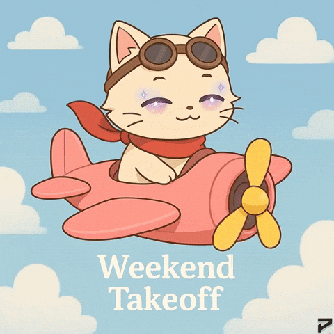 Airplane Pilot Weekend Vibes GIF by Persona