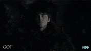 jaime lannister hbo GIF by Game of Thrones