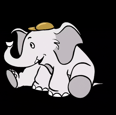 Happy Elephant GIF by CHOSEN