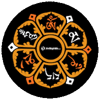 Travel Thrilling Sticker by Thrillophilia