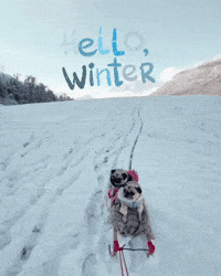 Let It Snow Winter GIF