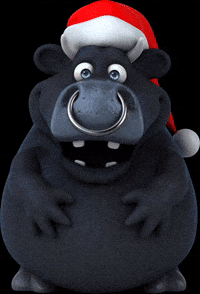 Fim De Ano GIF by Boi Brabo