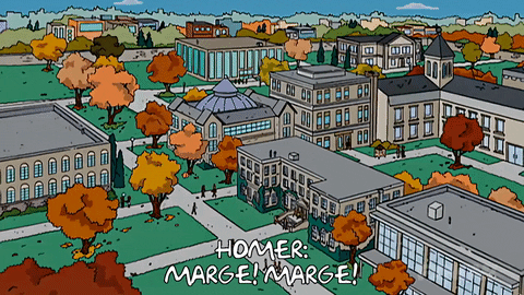 Episode 11 City GIF by The Simpsons