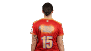 Handball Euro Sticker by EHF