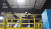 virginia maryland GIF by WAMU
