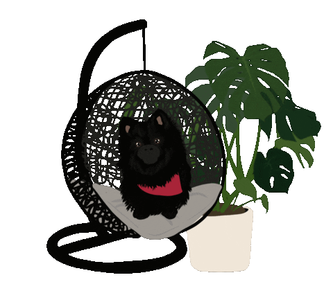 Planterior Decorator Sticker