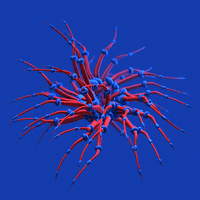 xponentialdesign blue red abstract organic GIF