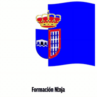 Bandera GIF by Formación Ninja