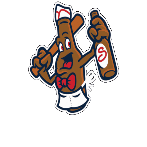 salemredsox giphygifmaker baseball redsox salemredsox Sticker