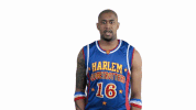 What GIF by Harlem Globetrotters