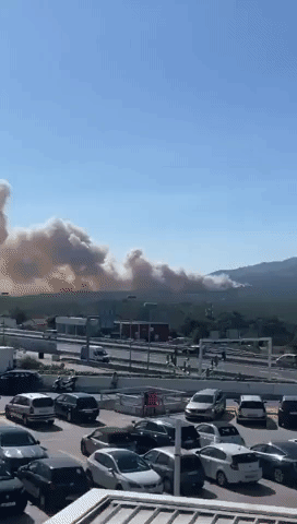 Wildfire in Cascais Under Control, Municipality Says