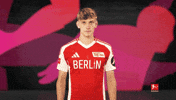 Come Union Berlin GIF by Bundesliga