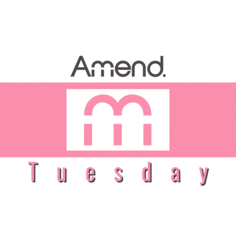 Chooseday Amend Sticker by Ormsby