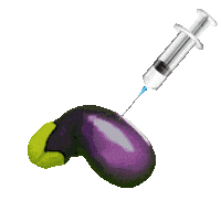 No Filter Miami Sticker by NoFilterMedSpa