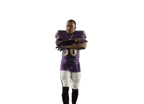 No Fly Zone Football Sticker by Baltimore Ravens