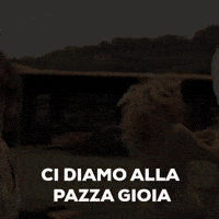 weekend cinema GIF by 01 Distribution