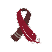 Pfh Sticker by American Indian Cancer Foundation