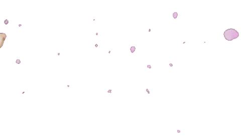 정관장레드스파크스 Sticker by REDSPARKS