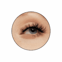 Star Power Fake Lashes GIF by Litalita
