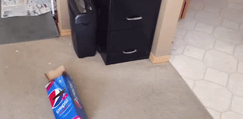 giphygifgrabber GIF