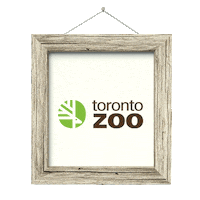 Sticker by Toronto Zoo