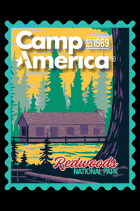 Redwoods GIF by Camp America