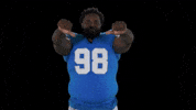 Football Nfl GIF by Detroit Lions
