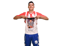 Soccer Goal Sticker by Atlético de San Luis