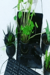 Plants Trash GIF by Database數據